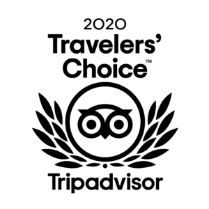 Dime Store Wins 2020 Travellers' Choice Award from Tripadvisor